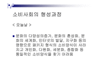 소비문화와 소비사회비판 나는 소비한다 고로 존재한다-17