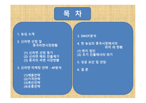 글로벌 마케팅 농심 신라면 중국 진출 성공사례-2