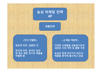 글로벌 마케팅 농심 신라면 중국 진출 성공사례-8