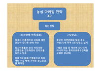 글로벌 마케팅 농심 신라면 중국 진출 성공사례-10