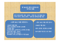 글로벌 마케팅 농심 신라면 중국 진출 성공사례-13