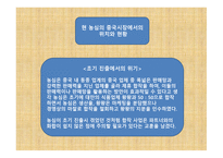 글로벌 마케팅 농심 신라면 중국 진출 성공사례-15