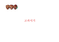 인사고과 레포트-13