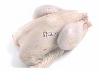 닭볶음탕 속 의무 역-3