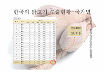 닭볶음탕 속 의무 역-4
