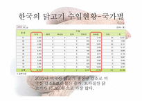 닭볶음탕 속 의무 역-5