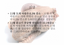 닭볶음탕 속 의무 역-10