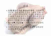 닭볶음탕 속 의무 역-11