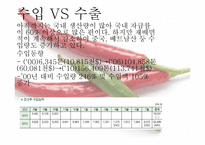 닭볶음탕 속 의무 역-13