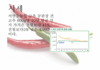 닭볶음탕 속 의무 역-16