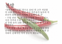 닭볶음탕 속 의무 역-17