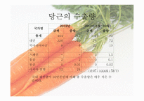 닭볶음탕 속 의무 역-19