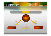 금융시장 현대사회와 기업경영-5
