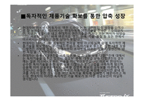 현대자동차의 성장과정-8