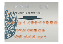 삼국지 조조의 경영학-10