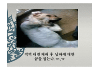 삼국지 조조의 경영학-13