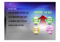 e스포츠팀 창단을 통한 마케팅 효과-8