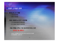 e스포츠팀 창단을 통한 마케팅 효과-13