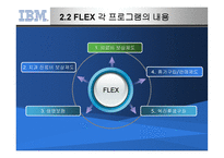 IBM의 선택적 복리후생제도-6