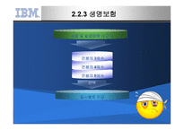 IBM의 선택적 복리후생제도-9