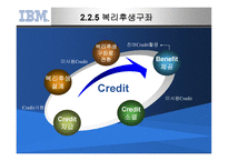 IBM의 선택적 복리후생제도-11