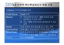 IBM의 선택적 복리후생제도-13