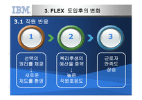 IBM의 선택적 복리후생제도-16