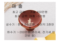 외식산업 개론 일식 사례-15