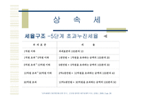 상속세 및 증여세 보고서-5
