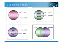 표본설계와 표본추출방법-7