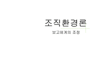 조직 환경론 보고체계의 조정-1