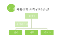 조직 환경론 보고체계의 조정-10