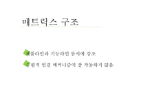 조직 환경론 보고체계의 조정-11