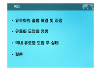 유로화가 한국경제에 미치는 영향-2