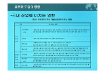 유로화가 한국경제에 미치는 영향-8