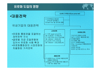 유로화가 한국경제에 미치는 영향-11
