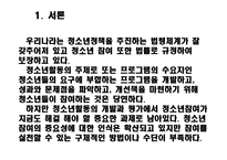 청소년활동과 청소년 참여의 실체-2