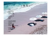 최대 관광지 인도네시아의 대하여-2