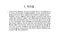 최대 관광지 인도네시아의 대하여-3