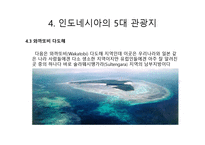 최대 관광지 인도네시아의 대하여-15