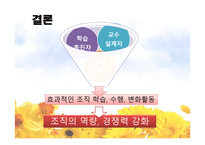 인적자원 개발론 학습촉진 자교수 설계자 수행 공학자-20