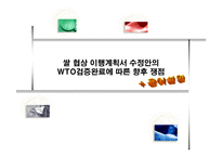 쌀협상 이행계획서 수정안의 WTO 검증 완료에 따른 향후 쟁점-1