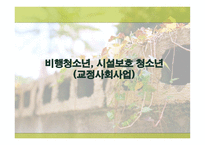 비행청소년 과시설 보호청소년의 교정 사회사업-1