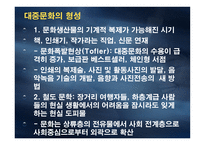 소비문화특성 맥도날드화-8