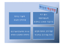 혼다 메디슨 레포트-8