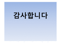 혼다 메디슨 레포트-12