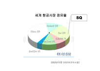 싱가포르 항공 SINGAPORE AIRLINES분석 보고서-8