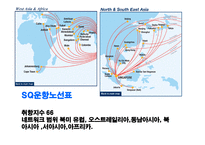 싱가포르 항공 SINGAPORE AIRLINES분석 보고서-18