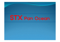 STXPanOcean 재무제표-1