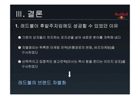 브랜드 자산을 활용한 마케팅 전략 에너지 드링크 RedBull-11